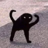 DasBas